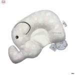 Newborn Baby Pillow