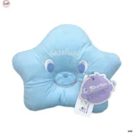 PILLOW 1 (1)