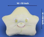 PILLOW 1 (1)