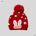 Premium Woolen Baby Winter Cap (1)