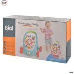 Push Walker (3)