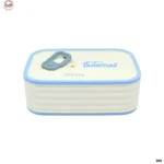Tiffin box (10)
