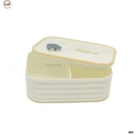 Tiffin box (1)
