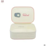 Tiffin box (4)