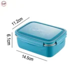 Tiffin Box (1)