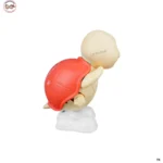 Toys (12)
