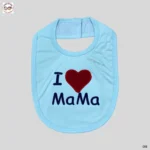 Bib (1)