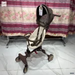 Stroller (5)