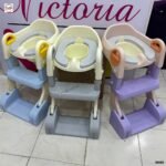 Portable 2 in 1 Foldable Potty Trainer