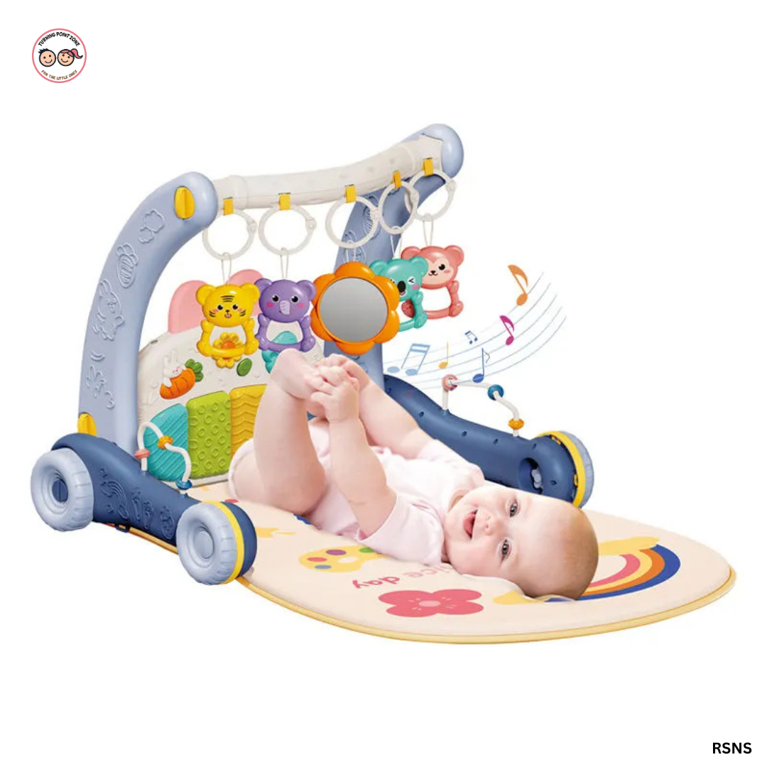 2in1 Push walker (2)