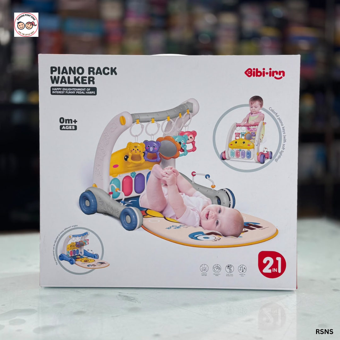 2in1 Push walker (6)